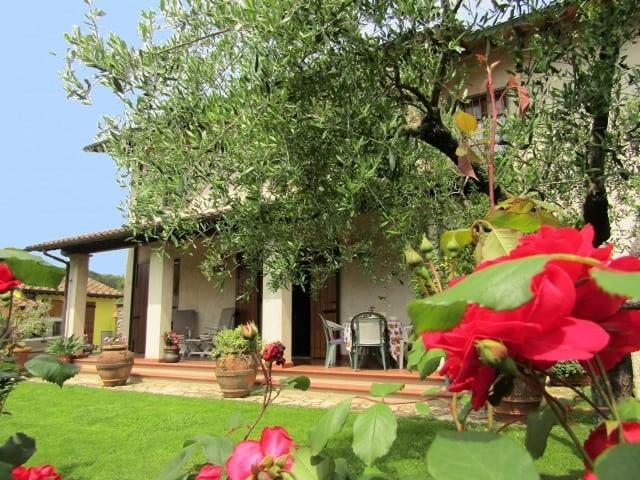 Casa Vacanze Lulu Camaiore Exteriér fotografie